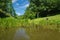 A Ground View of Rakes Mill Pond