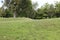 Ground View of the Serpent Mound