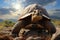 Grounded grace tarantulas portrait against a stone backdrop revealed