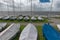 Grounded optimist dinghys in stormy weather, Hjerting, Esbjerg, Denmark