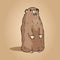 Groundhog cartoon image. Cute hand drawn animal character