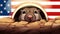 The groundhog crawls out of the hole. Groundhog day funny cartoon banner