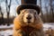 Groundhog Day celebration, with Punxsutawney Phil emerging to predict the weather, an annual tradition in February