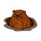 Groundhog in a hole illustration on white background