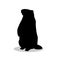 Groundhog rodent black silhouette animal