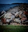 Groundhog sitting on a rock on the coast of Lake Erie in Cleveland, Ohio