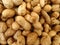 Groundnut, peanut, Arachis hypogaea