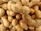 Groundnut, peanut, Arachis hypogaea