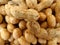 Groundnut, peanut, Arachis hypogaea