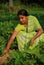 Groundnut plantation in Andhra Pradesh India