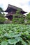 Grounds of Zenkoji Temple, Nagano Japan