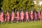 A group of 1776 American flags on Memorial Day