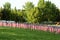 A group of 1776 American flags on Memorial Day