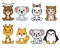 Group of 8 kawaii animals