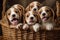 Group of Adorable Beagle Puppies Sitting in a Basket, Generative AI