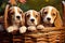 Group of Adorable Beagle Puppies Sitting in a Basket, Generative AI