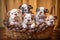 Group of Adorable Bulldog Puppies Sitting in a Basket, Generative AI