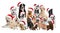 Group of adorable dogs in Santa hats on background