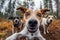 Group of adorable dogs taking a selfie in a forest, AI-generated.