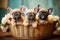 Group of Adorable French Bulldog Puppies Sitting in a Basket, Generative AI