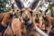 Group of adorable kangaroos taking a selfie in a forest, AI-generated.