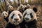 Group of adorable pandas taking a selfie in a forest, AI-generated.