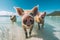 Group of adorable pigs taking a selfie in the sea, AI-generated.