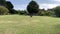 Group of adults attending a sport class in park, Chihgford, London. May 2020