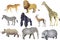 Group Of African Animal Wild Life , Cheetah, Lion, Giraffe, Zebra, Gorilla, Antelope, Rhino, Elephant, Hippopotamus - Vector Illus