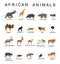 Group of African animals collection vector illustration isolated on white background.