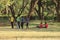 A group of African black children play the popular children`s game `Break the Chains` at the Nairobi School Stadium