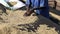 Group of african farmer workers are picking coffee beans on drying tables