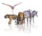 Group of African Safari animals walking together. It is isolated on the white background. It reflects their image. There are