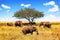 A group of African savanna elephants against the backdrop of a tree and blue sky in the Serengeti National Park. Africa. Tanzania.