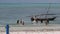 Group African Women Catching Fish, Seafood using Fishing Net in Ocean, Zanzibar