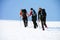 Group of alpinists trekking on a snowy mountain path in a wonderful sunny day.