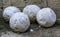 Group of ancient stone balls used in medieval cannons