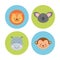 Group animal cute icon
