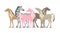 Group of animals. Beautiful cute pink unicorn, zebra and horses. couple of unicorn and zebra in love. isolated image