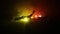 A group of animals are grouped together at foggy night with burning colorful background. Animals Running Escaping to Save Their Li