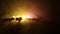 A group of animals are grouped together at foggy night with burning colorful background. Animals Running Escaping to Save Their Li