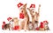 Group Of Animals with Santa hats and presents