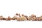 Group of argan nuts on a white background.