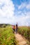 Group asian woman traveler hiking and embracing nature from top of mountain in spring season