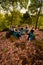 A Group of Asian women takes a vacation to the forest while wearing a green skirt and sitting on a rock