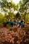 A Group of Asian women takes a vacation to the forest while wearing a green skirt and sitting on a rock