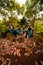 A Group of Asian women takes a vacation to the forest while wearing a green skirt and sitting on a rock