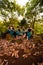 A Group of Asian women takes a vacation to the forest while wearing a green skirt and sitting on a rock