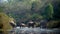 Group of Asiatic elephant crossing Karnali river in Nepal