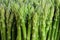 Group of asparagus